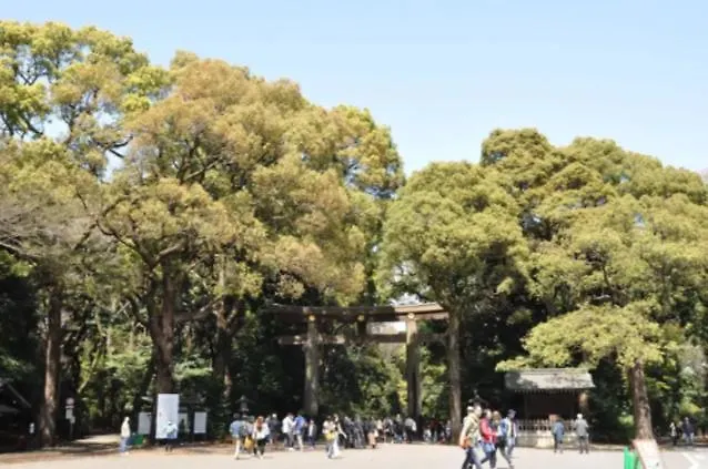 Villa Shibuya Tokyo